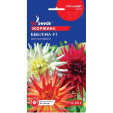 Жоржина Евеліна, 0,25 г, GL SEEDS