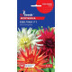 Жоржина Евеліна, 0,25 г, GL SEEDS