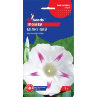 Іпомея Мілкі Вей, 1 г, Gl Seeds