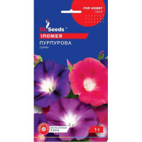 Іпомея Пурпурова, 1 г, Gl Seeds