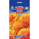 Чорнобривці махрові Гаваї 0.5 г, Gl Seeds