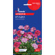 Армерія Аріадна 0,1 г, GL SEEDS