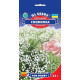 Гіпсофіла Сніжинка 0,1 г, GL SEEDS