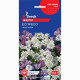 Іберіс Еспресо 0,5 г, GL SEEDS