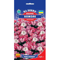 Іберіс Божоле 0,5 г, GL SEEDS