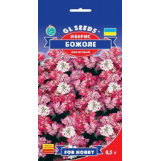 Іберіс Божоле 0,5 г, GL SEEDS
