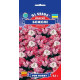 Іберіс Божоле 0,5 г, GL SEEDS
