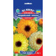 Календула Індійський Принц 0,5 г, Gl Seeds