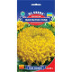 Чорнобривці Фантастік Голд 0,25 г, Gl Seeds