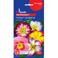 Примула (Первоцвіт)  Гігант Селекта 0,1 г, Gl Seeds