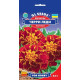Чорнобривці Черрі Леді 0,5 г, GL SEEDS