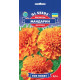 Чорнобривці Мандарин 0,5 г, Gl Seeds