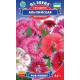 Гвоздика Альпійська, 0,1 г, GL SEEDS