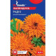 Календула Радіо 0,5 г, Gl Seeds