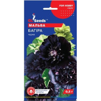 Мальва Багіра 0,5 г, Gl Seeds