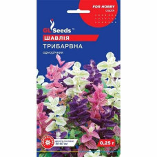 Шавлія Трибарвна 0,25 г, GL SEEDS