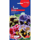 Віола Рококо F1  0,1 г, GL Seeds