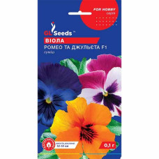 Віола Ромео і Джульєта F1  0,1 г, GL Seeds