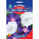 Іпомея Лав Сторі, 1 г, GL Seeds
