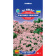 Алісум Гірська казка, 0,1 г, GL SEEDS