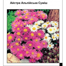 Астра Альпийская смесь