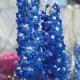 Дельфініум Candle: Blue Shades, 10 шт, Sakata