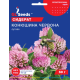 Конюшина червона, 30 г, GL SEEDS