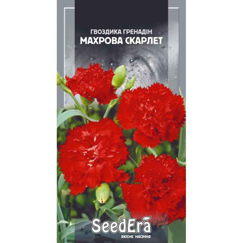 Гвоздика Садова Гренадін махрова Скарлет, 0,2 г, Сімейний Сад