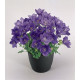 Дзвіночок карпат, Clips® Deep Blue, 1000 шт, Benary