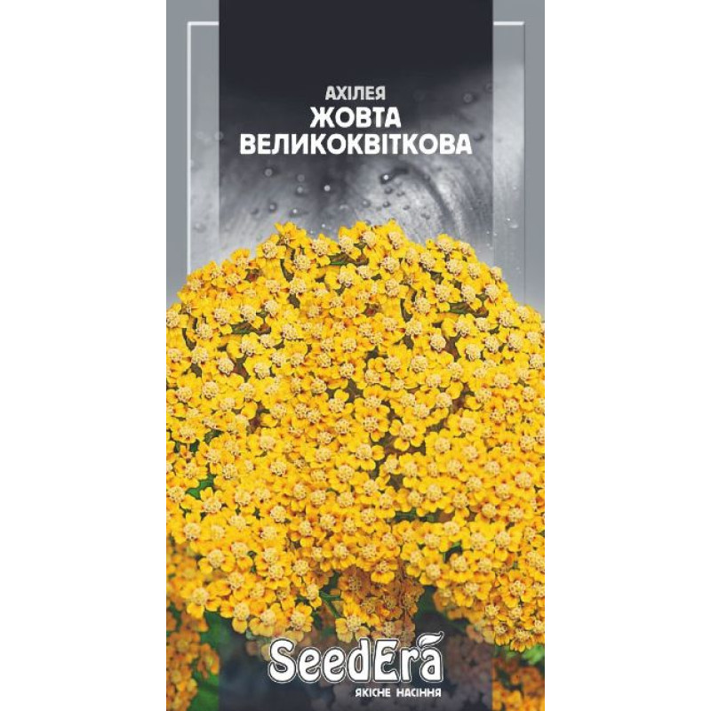Ахілея Жовта великоквіткова багаторічна, 0,1 г, Сімейний Сад