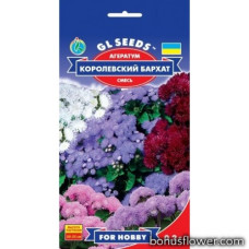 Агератум Королівський оксамит, суміш 0,2 г, GL SEEDS