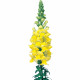 Левовий зів Admiral Yellow 10 шт, Sakata