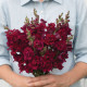 Левиний зев - Madame Butterfly Red, 500 шт, Syngenta