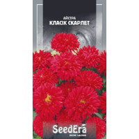 Айстра Класік Скарлет низькоросла, 0,25 г, Сімейний Сад