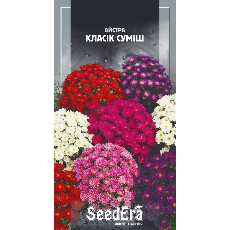 Айстра низька Класік суміш 0.25 г, Сімейний сад