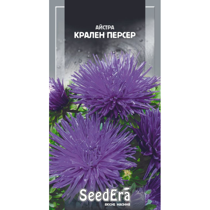 Айстра Крален Персер високоросла, 0,25 г, Сімейний Сад