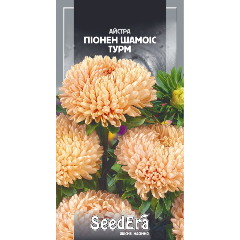 Айстра Піонен Шамоіс Турм 0.25 г, Сімейний сад
