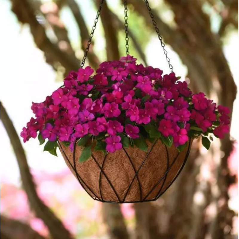 Бальзамін Beacon F1 Violet Shades, 1000 шт, PanAmerican