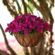 Бальзамін Beacon F1 Violet Shades, 1000 шт, PanAmerican