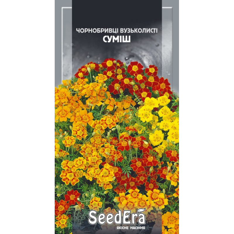 Чорнобривці вузьколисті Суміш 0.1 г, Сімейний сад