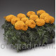 Бархатцы Moonstruck Deep Orange