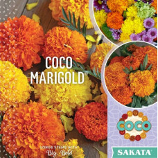 Чорнобривці прямостоячі COCO F1 Mix, 10 шт, Sakata