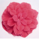 Бегонія бульбова Nonstop® Pink, 1000 шт, Benary