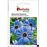 Брахікома блакитна, 0,1 г, Садиба Центр