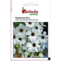 Брахікома біла, 0,1 г, Садиба Центр