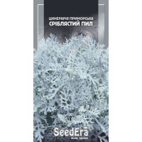 Цинерарія приморська Сріблястий пил, 0,1 г, Сімейний Сад