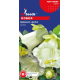 Кобея Винно-біла 4 шт, Gl Seeds