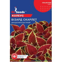 Колеус Візард Скарлет 10 шт, Gl Seeds