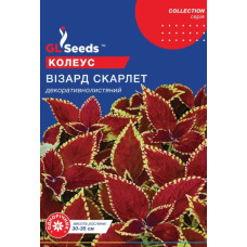 Колеус Візард Скарлет 10 шт, Gl Seeds