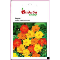 Космея Карпет, суміш 0.2 г, Садиба
